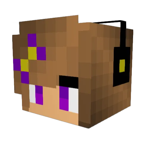 2of4Rebel Minecraft avatar head, 3D render