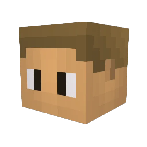 2ooneat Minecraft avatar head, 3D render