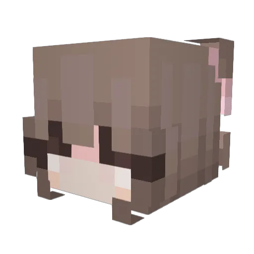 2pluto Minecraft avatar head, 3D render