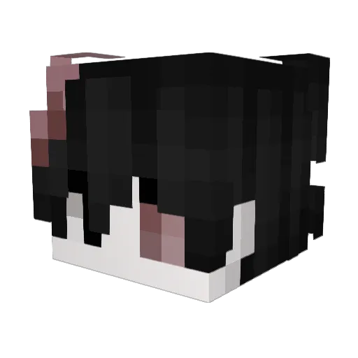 2pott Minecraft avatar head, 3D render