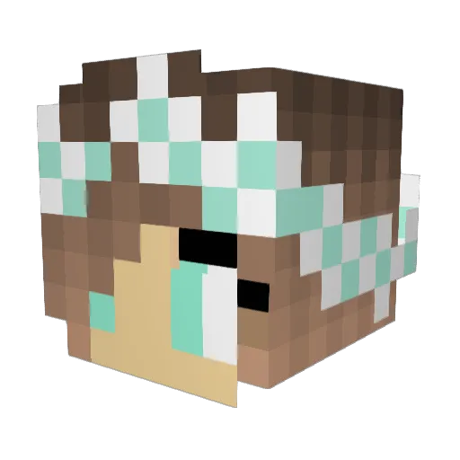2raine Minecraft avatar head, 3D render