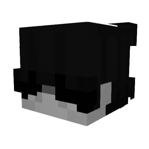 2rayan Minecraft avatar head, 3D render