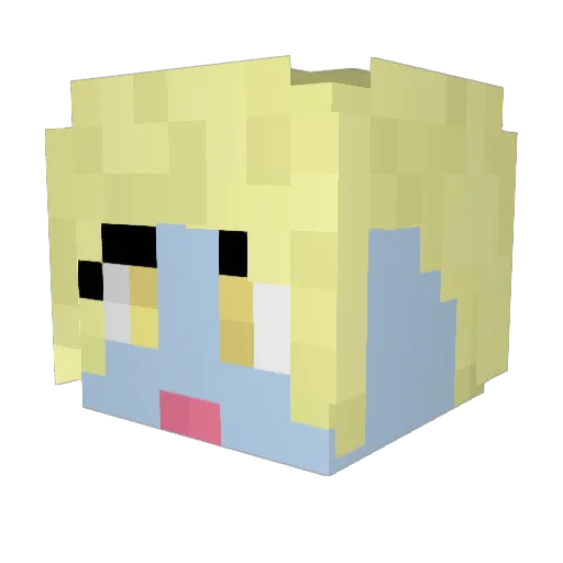 2rockinbros Minecraft avatar head, 3D render