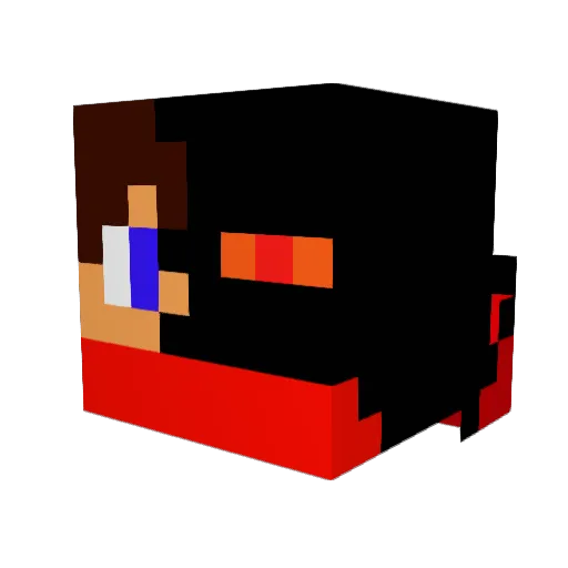 2s_Boomer Minecraft avatar head, 3D render