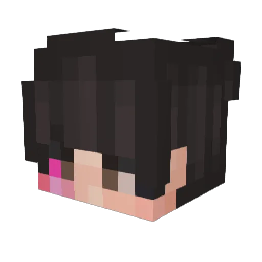 2san_ Minecraft avatar head, 3D render