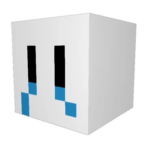 2sdu Minecraft avatar head, 3D render