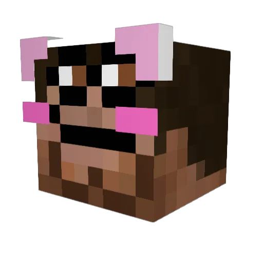 2shoestommy Minecraft avatar head, 3D render