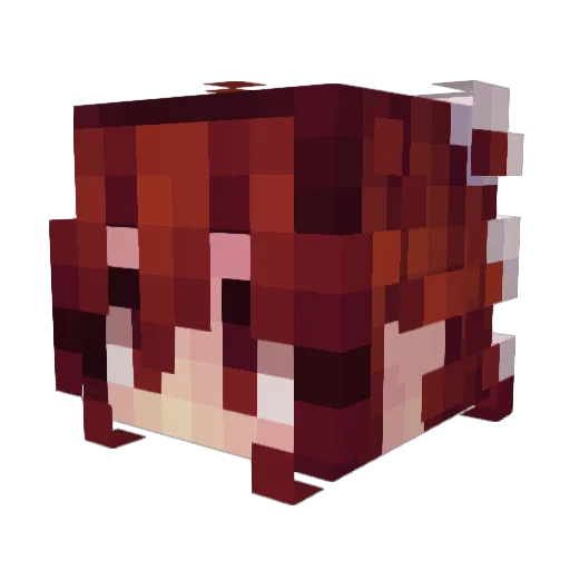 2smelly2ellie Minecraft avatar head, 3D render