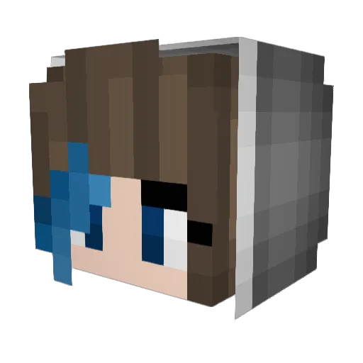2tormr1der Minecraft avatar head, 3D render