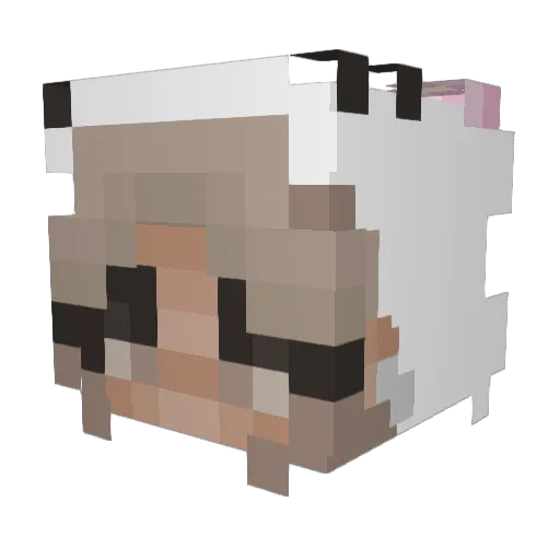 2txt Minecraft avatar head, 3D render