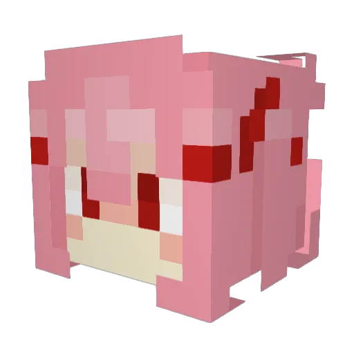 2unii Minecraft avatar head, 3D render