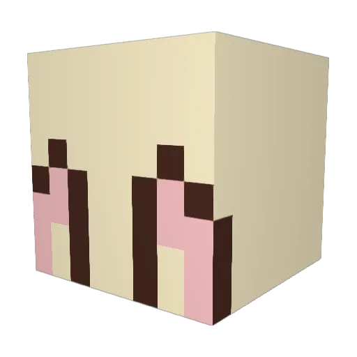 2waffles1fork Minecraft avatar head, 3D render