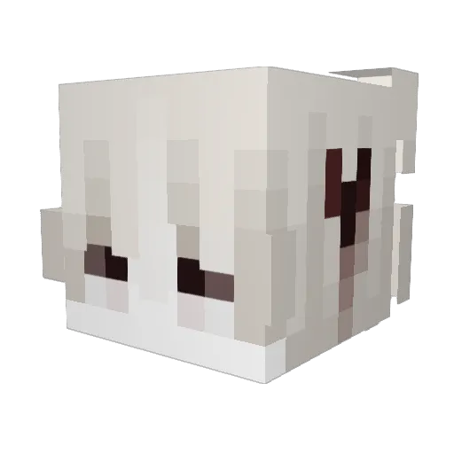 2whityy Minecraft avatar head, 3D render