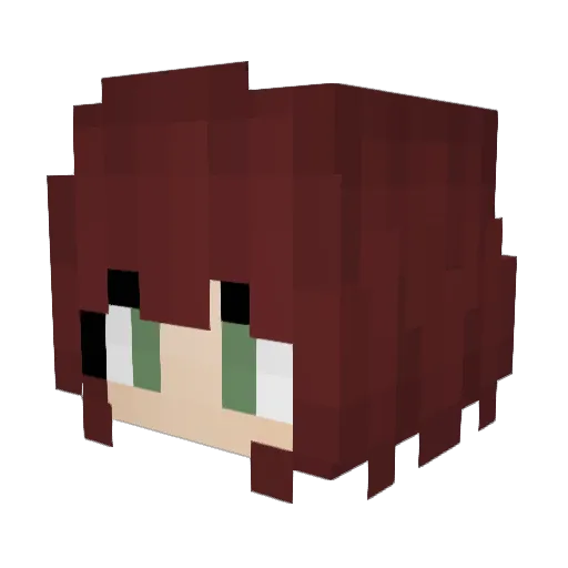 2wiond2 Minecraft avatar head, 3D render