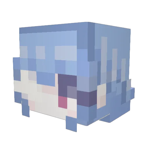 2wsh Minecraft avatar head, 3D render