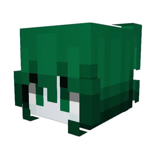 2x2t Minecraft avatar head, 3D render