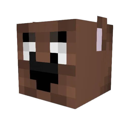 2xIan2 Minecraft avatar head, 3D render