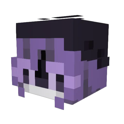 2xSenSen Minecraft avatar head, 3D render