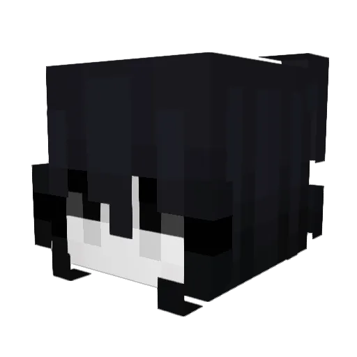 2xe Minecraft avatar head, 3D render
