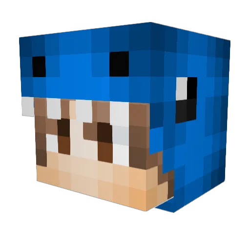 300Leute Minecraft avatar head, 3D render