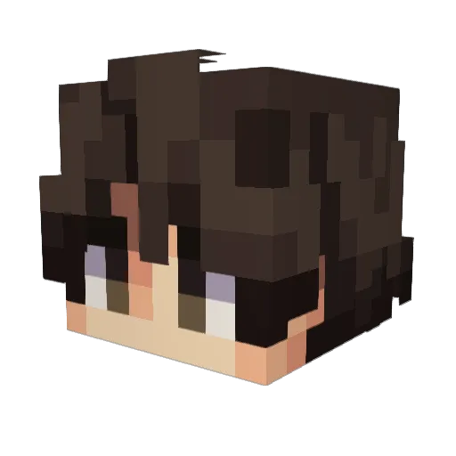 3060ti_ Minecraft avatar head, 3D render
