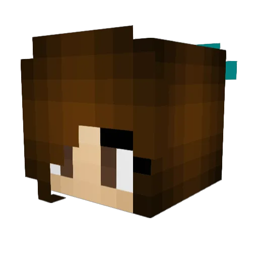 30f1 Minecraft avatar head, 3D render