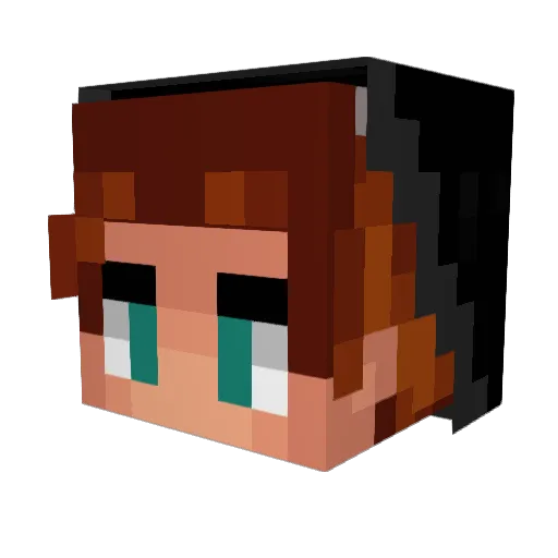 30fps Minecraft avatar head, 3D render