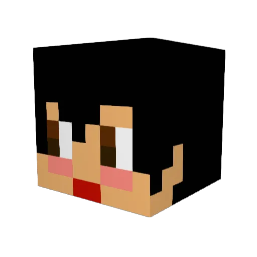 3108sa Minecraft avatar head, 3D render