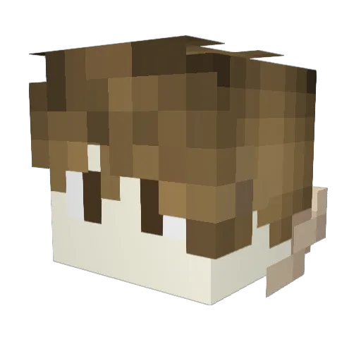 3116277953 Minecraft avatar head, 3D render