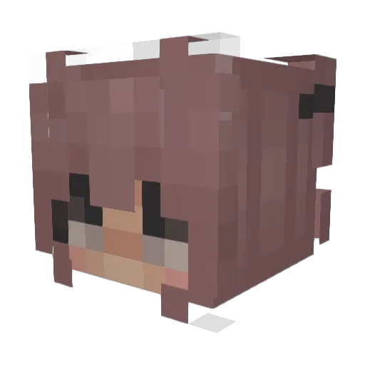 314Face Minecraft avatar head, 3D render
