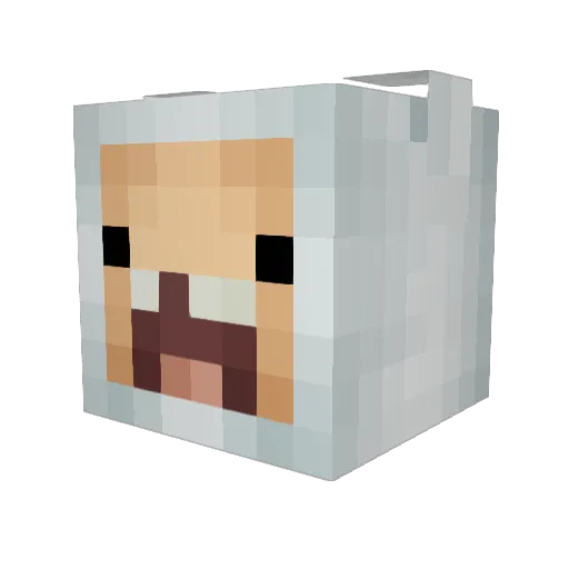 314RAT Minecraft avatar head, 3D render