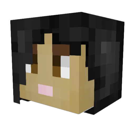 314numberpi Minecraft avatar head, 3D render