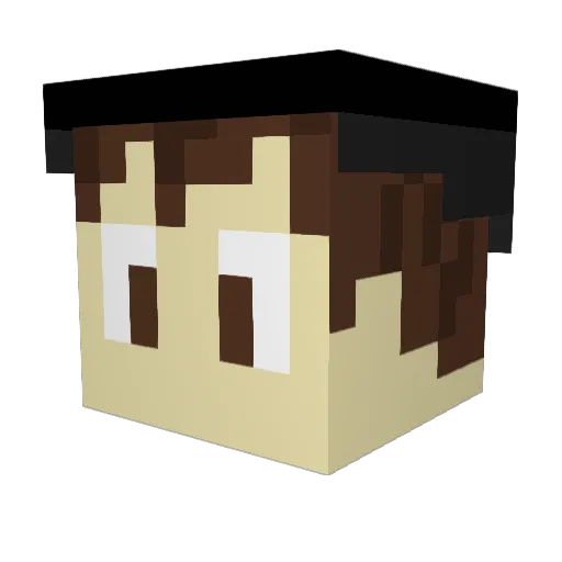 314rft Minecraft avatar head, 3D render