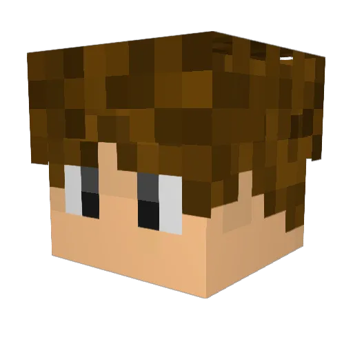 31Assassins Minecraft avatar head, 3D render