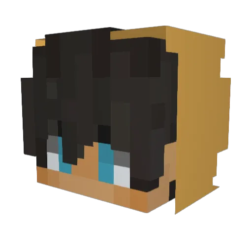 31CekenPanda_V1 Minecraft avatar head, 3D render