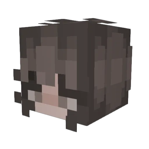 31dollars Minecraft avatar head, 3D render
