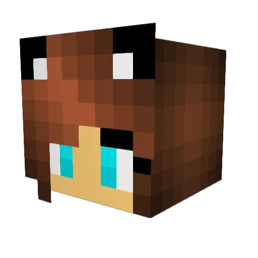 321Alexx Minecraft avatar head, 3D render