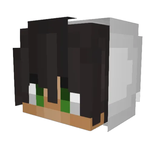 334725495221231 Minecraft avatar head, 3D render