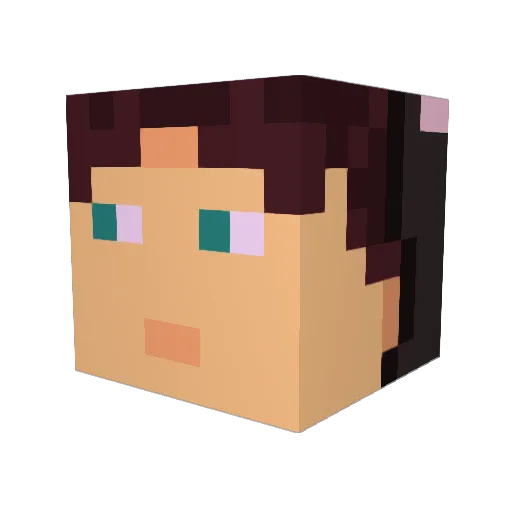 334charly Minecraft avatar head, 3D render