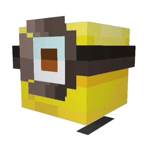 335Salociin Minecraft avatar head, 3D render
