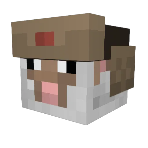 34SkyLine34 Minecraft avatar head, 3D render