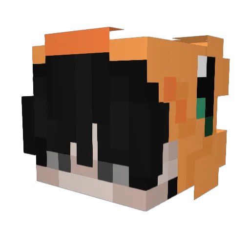 34_fps Minecraft avatar head, 3D render
