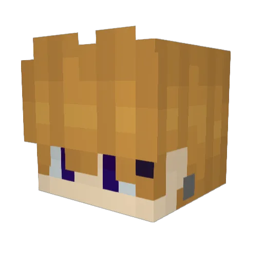 35slug Minecraft avatar head, 3D render