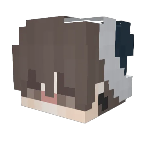 360Henning Minecraft avatar head, 3D render