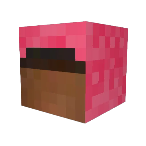 3839 Minecraft avatar head, 3D render