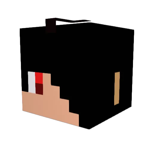 39Not Minecraft avatar head, 3D render