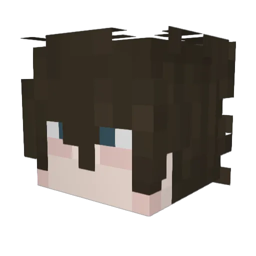3AOD Minecraft avatar head, 3D render