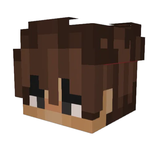 3BoOoD69 Minecraft avatar head, 3D render