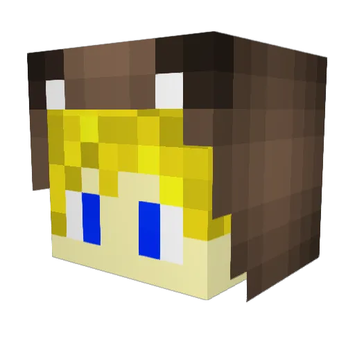 3Dbacon Minecraft avatar head, 3D render
