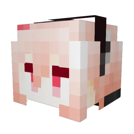 3DogsandaCat Minecraft avatar head, 3D render